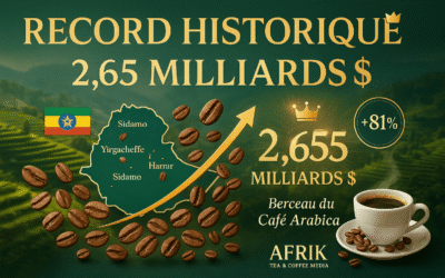 Records Historiques : L’Éthiopie Franchit la Barre des 2 Milliards de Dollars malgré la Pression Ougandaise